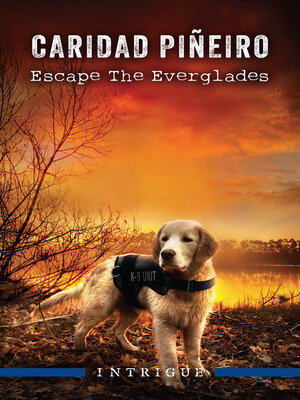 cover image of Escape the Everglades